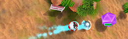Desert Chase